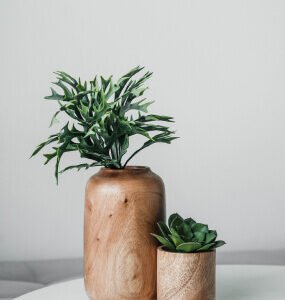 Wooden Greenery D?cor- Fine Decors