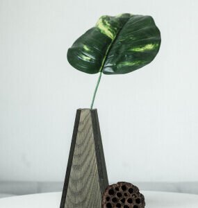 Unique Wooden Vase - Fine Decors