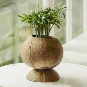 Coconut Shell Planter | Eco-Friendly Natural D?cor