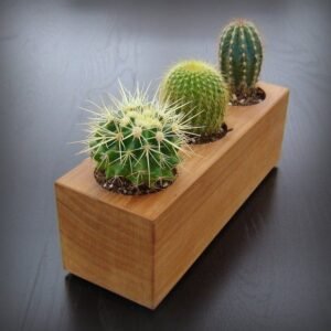 Wooden Planter for D?cor Fine Decors